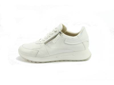 DLSport 6202 bianco Sneakers/Veterschoenen Direct leverbaar uit de webshop van www.pontman.nl/