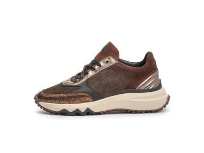 Floris van Bommel  Floris van Bommel SFW-10089-92-01 / Curvi 04.01 BRONS