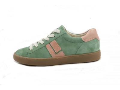 Paul Green  Paul Green 5464-117 GROEN