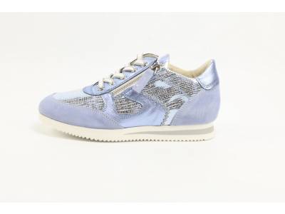 DLSport  DLSport 6564 versione 09 velour illusion ancona celeste L.BLAUW