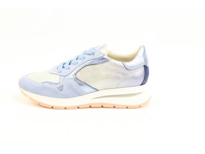 DLSport  DLSport 6562 versione 04 velour illusion BLAUW