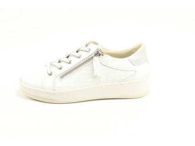 DLSport  DLSport 6501 versione 01 sun WIT