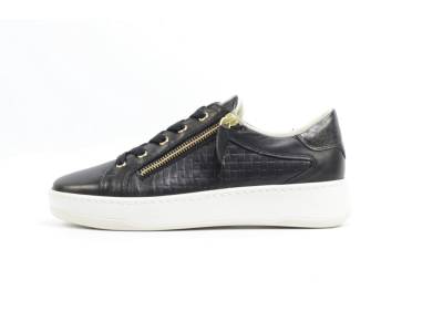 DLSport  DLSport 6501 versione 0A sun ZWART