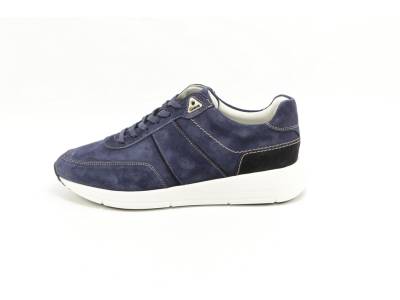 Greve  Greve 7286.06/ 2941 Pilota BLAUW