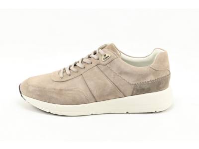 Greve 7286.05/ 3321 roccia TAUPE